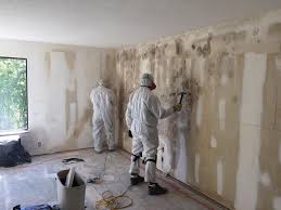 Why You Should Choose Our Mold Remediation Services in Jackson, MN